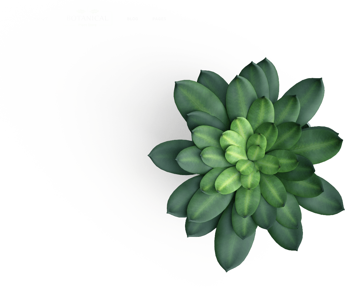 腾龙公司将重新定义盆栽