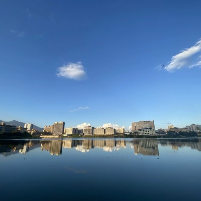 为什么庭院植物花卉是改善家居幸福感的秘密武器